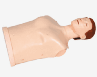 挪度半身训练模拟人(简易型) GD/CPR10170